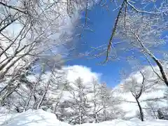 高峯神社(大室神社奥宮)の自然