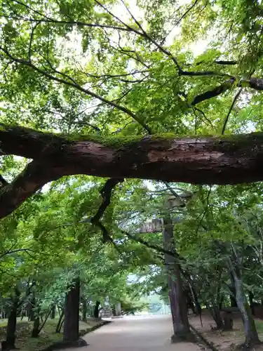 宝満宮竈門神社(福岡県)