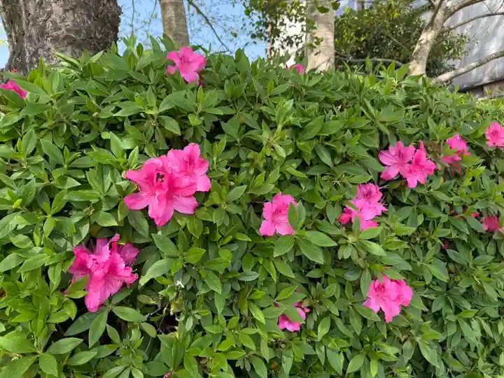 美奈宜神社(福岡県)
