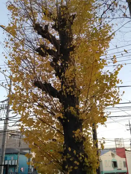 白旗神社(平戸白旗神社)(神奈川県)