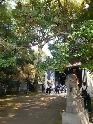 赤坂氷川神社(東京都)