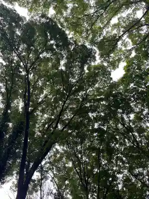 谷保天満宮(東京都)