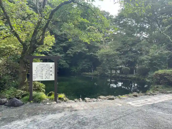 富士山本宮浅間大社(静岡県)