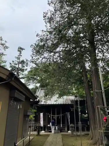 大宮前春日神社の本殿・本堂