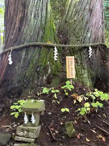 戸隠神社火之御子社(長野県)