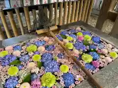 高円寺氷川神社(東京都)