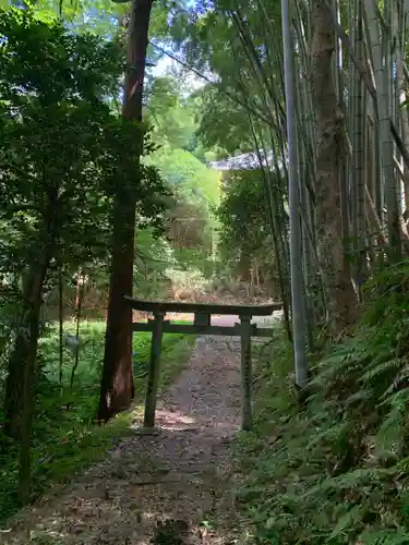 稲荷大明神の鳥居