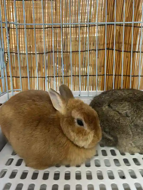 太子堂八幡神社(東京都)
