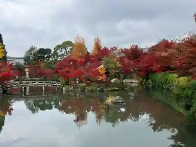 禅林寺（永観堂）(京都府)