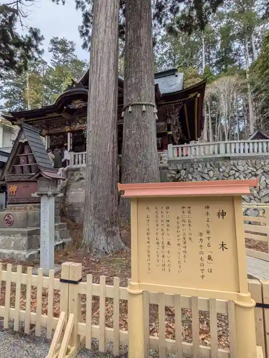 三峯神社(埼玉県)