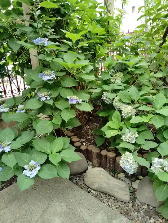 八幡神社(東京都)