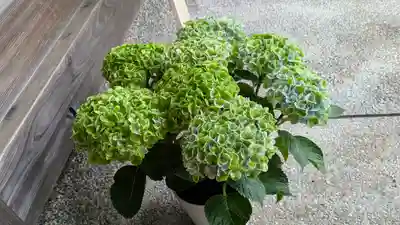 実光院(京都府)