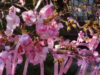 桜神宮のその他建物