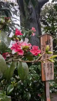 城南宮(京都府)