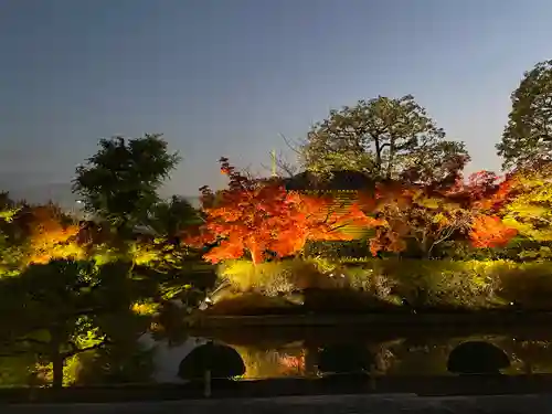 東寺（教王護国寺）(京都府)