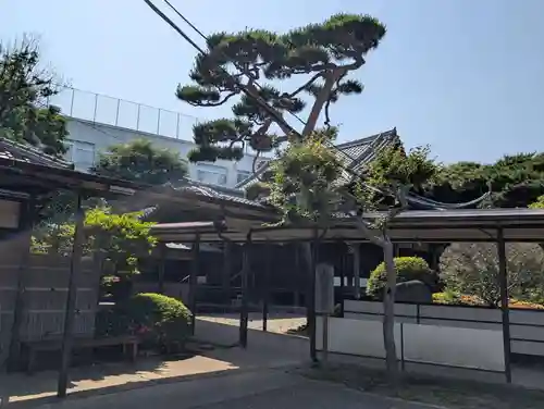 護国寺(東京都)