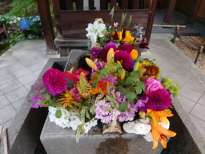 勝林寺(京都府)