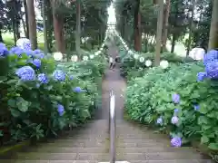 磯山神社の自然