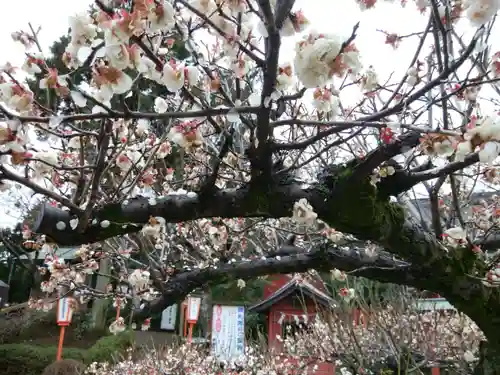 世良田東照宮(群馬県)