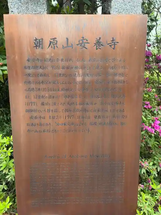 安養寺の{uncategorized: "未分類", other: "その他", undefined: "問題あり", building: "その他建物", grave: "お墓", sacred_gate: "鳥居", guardian: "狛犬", statue: "像", buddha: "仏像", history: "歴史", nature: "自然", garden: "庭園", animal: "動物", pagoda: "塔", temizu: "手水舎", mountain_gate: "山門・神門", sanctuary: "本殿・本堂", subordinate: "末社・摂社", art: "芸術", scenery: "景色", jizo: "地蔵", ema: "絵馬", goshuin: "御朱印", omikuji: "おみくじ", items: "授与品その他", amulet: "お守り", goshuincho: "御朱印帳", eats: "食事", festival: "お祭り", votive_dance: "神楽", shichigosan: "七五三参", wedding: "結婚式", experience: "体験その他", initially: "初詣", around: "周辺", anti_infection: "感染症対策"}