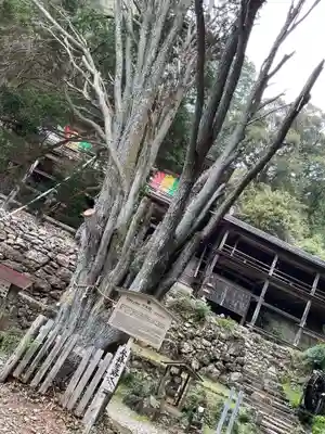 日龍峯寺(高澤観音)(美濃清水)(岐阜県)