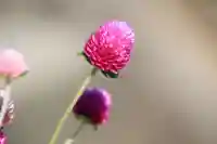 熊野福藏神社の手水舎