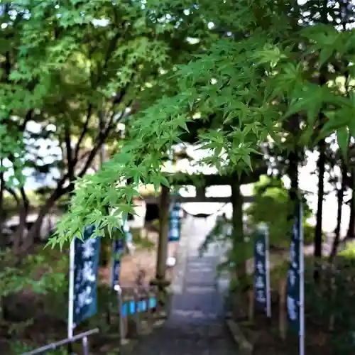 滑川神社 - 仕事と子どもの守り神の自然
