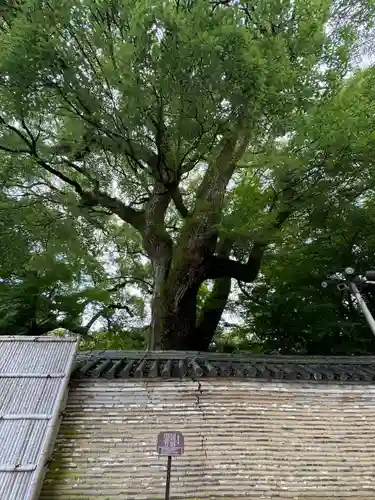 石清水八幡宮(京都府)