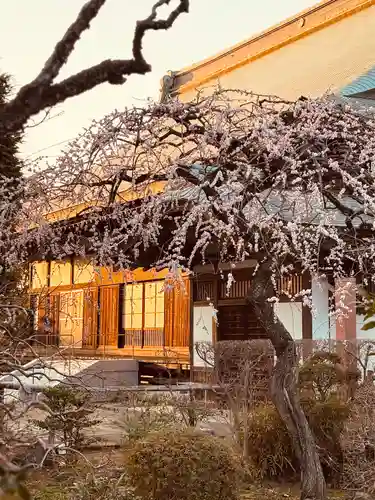 南養寺(東京都)