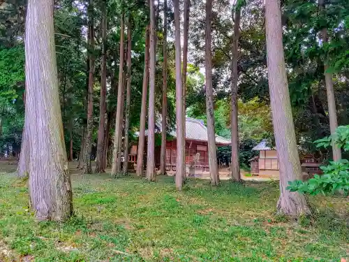 白鳥神社（白鳥町）の自然