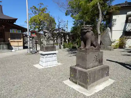 大宮神社の狛犬