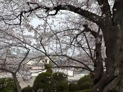 不動寺(大阪府)