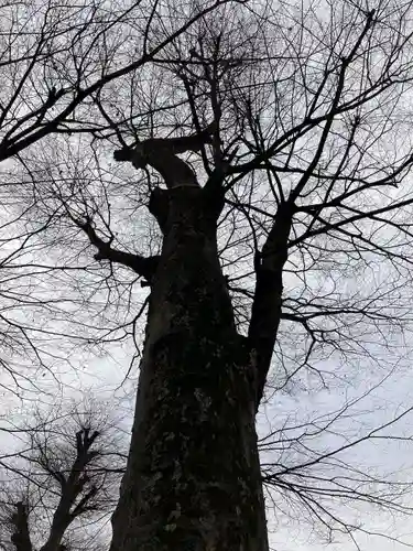 八枝神社(埼玉県)