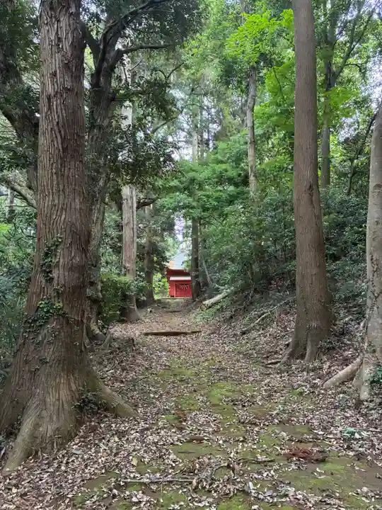 日枝神社(千葉県)