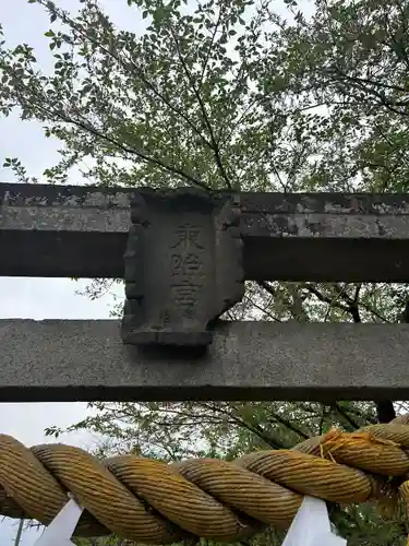 徳川東照宮(群馬県)