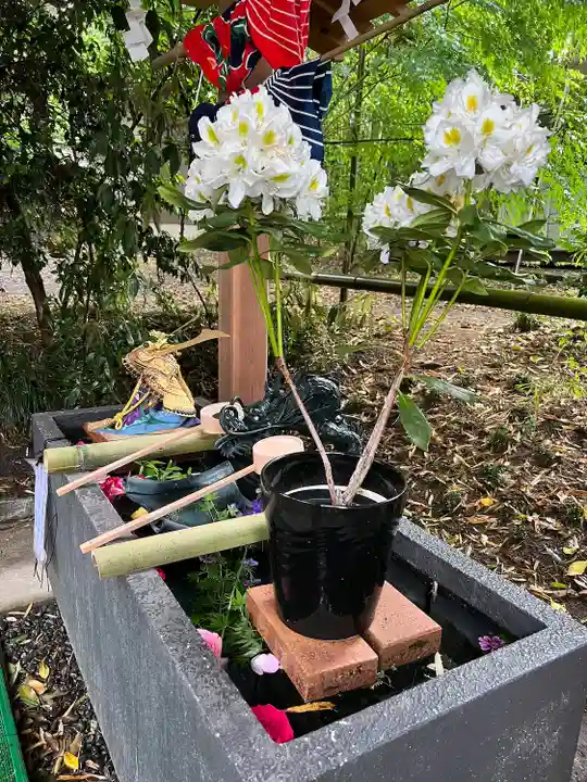 下野 星宮神社(栃木県)