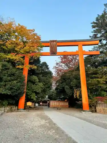 川越氷川神社の{uncategorized: "未分類", other: "その他", undefined: "問題あり", building: "その他建物", grave: "お墓", sacred_gate: "鳥居", guardian: "狛犬", statue: "像", buddha: "仏像", history: "歴史", nature: "自然", garden: "庭園", animal: "動物", pagoda: "塔", temizu: "手水舎", mountain_gate: "山門・神門", sanctuary: "本殿・本堂", subordinate: "末社・摂社", art: "芸術", scenery: "景色", jizo: "地蔵", ema: "絵馬", goshuin: "御朱印", omikuji: "おみくじ", items: "授与品その他", amulet: "お守り", goshuincho: "御朱印帳", eats: "食事", festival: "お祭り", votive_dance: "神楽", shichigosan: "七五三参", wedding: "結婚式", experience: "体験その他", initially: "初詣", around: "周辺", anti_infection: "感染症対策"}