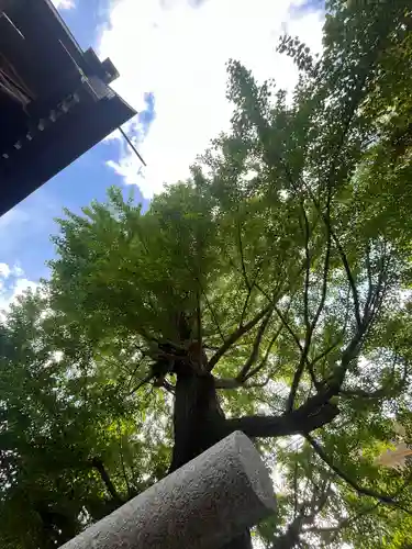 朝日氷川神社(埼玉県)