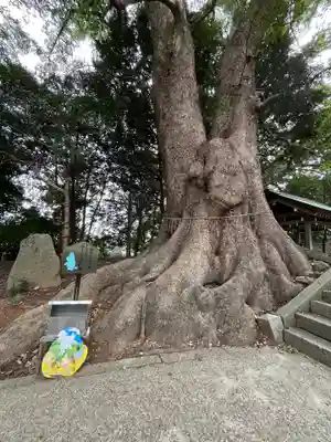 五所八幡宮(福岡県)