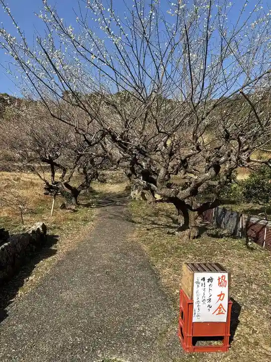 長楽寺(静岡県)