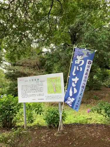 大宝八幡宮の歴史