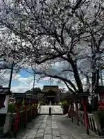 六孫王神社(京都府)