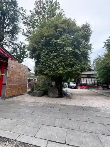 馬橋稲荷神社の{uncategorized: "未分類", other: "その他", undefined: "問題あり", building: "その他建物", grave: "お墓", sacred_gate: "鳥居", guardian: "狛犬", statue: "像", buddha: "仏像", history: "歴史", nature: "自然", garden: "庭園", animal: "動物", pagoda: "塔", temizu: "手水舎", mountain_gate: "山門・神門", sanctuary: "本殿・本堂", subordinate: "末社・摂社", art: "芸術", scenery: "景色", jizo: "地蔵", ema: "絵馬", goshuin: "御朱印", omikuji: "おみくじ", items: "授与品その他", amulet: "お守り", goshuincho: "御朱印帳", eats: "食事", festival: "お祭り", votive_dance: "神楽", shichigosan: "七五三参", wedding: "結婚式", experience: "体験その他", initially: "初詣", around: "周辺", anti_infection: "感染症対策"}