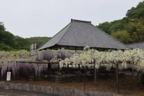 長泉寺の庭園