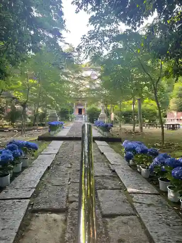 国上寺(新潟県)