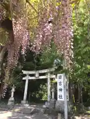 日吉神社の鳥居