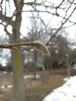 厚別神社(北海道)