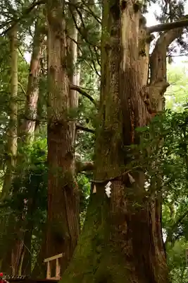 白山比咩神社(石川県)