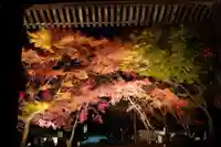 蓮光寺(山口県)