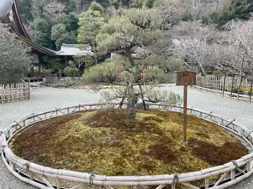 二尊院(京都府)